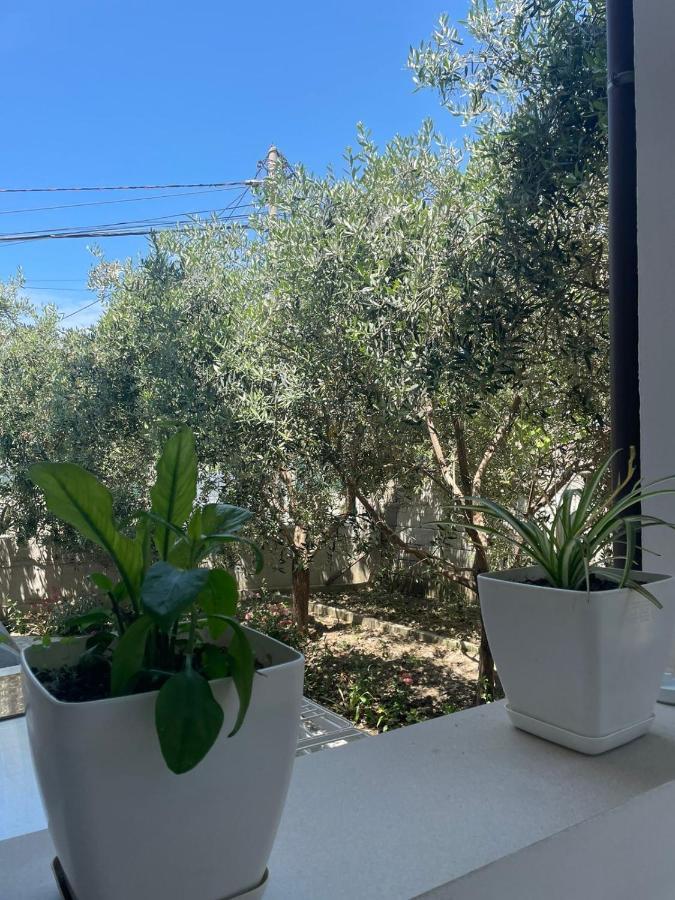 Hébergement de vacances Rent Loren Vlorë